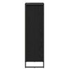 vidaXL Bathroom Cabinet Black Oak 40 x 30 x 100 cm Engineered Wood