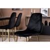 Venture Home Dining Chairs 2 pcs Polar Velvet Black and Brass