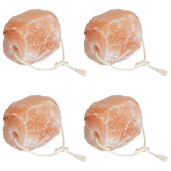 vidaXL Salt Lick Stones Pink Rock Salt