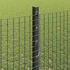 Product Thumbnail Image 4 of 14