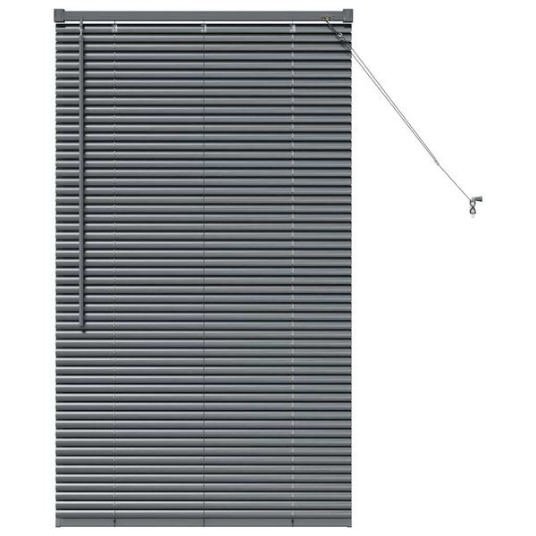 vidaXL Window Blind with Curtains Manual Dark grey Aluminium