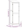 vidaXL Garden Shed Brown 55x52x174.5 cm Solid Wood Fir