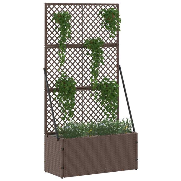 Showing Product Image 2 of 8