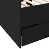 vidaXL Daybed with Drawers without Mattress Black 100x200 cm