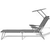 vidaXL Sun Lounger with Canopy Steel Grey