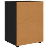 vidaXL Storage Cabinet Black 60 x 48 x 81 cm Engineered Wood