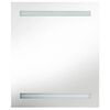 vidaXL LED Bathroom Mirror Cabinet Grey 50x14x60 cm