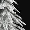 Product Thumbnail Image 4 of 8