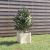Product Thumbnail Image 2 of 8
