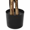 Product Thumbnail Image 2 of 5