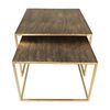HSM Collection 2 Piece Coffee Table Set Square Gold