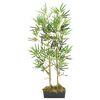 Product Thumbnail Image 2 of 5