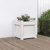 Product Thumbnail Image 2 of 11