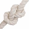 Product Thumbnail Image 3 of 5