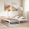 vidaXL Pull-out Day Bed without Mattress 90x190 cm