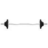 vidaXL Barbell with Plates 60 kg Cast Iron & Chrome Plated Steel