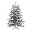 Product Thumbnail Image 5 of 17