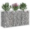 Product Thumbnail Image 3 of 10
