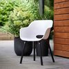 Product Thumbnail Image 4 of 11