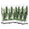 Product Thumbnail Image 7 of 8