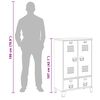 vidaXL Wardrobe Metal Industrial Style 67x35x107 cm Black