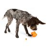 West Paw Dog Toy with Zogoflex Toppl Tangerine Orange S