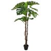 Product Thumbnail Image 2 of 5