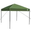 vidaXL Canopy Tent Manual Green 243 x 243 x 251 cm Fabric