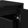 vidaXL TV Cabinet Black Oak 120 x 30 x 40.5 cm Engineered Wood