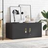 vidaXL Storage Cabinet Black 90 x 40 x 40 cm Cold-Rolled Steel