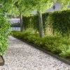 Product Thumbnail Image 2 of 9