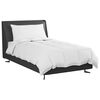 vidaXL Summer Duvet with Pillow 2 pcs White Down Feather
