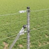 Product Thumbnail Image 4 of 17