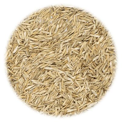 vidaXL Gazon Grass Seed 30 kg