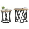 vidaXL Side Table 2 pcs Artisan Oak Engineered Wood and Steel