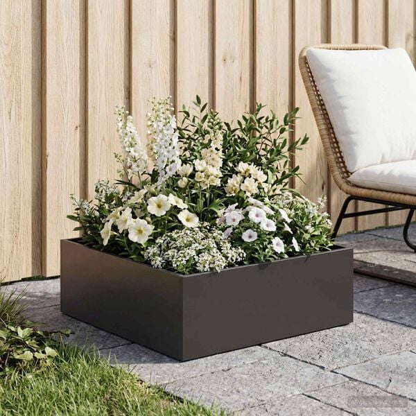 Showing Product Image 2 of 7