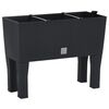 Product Thumbnail Image 2 of 10