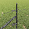 Product Thumbnail Image 4 of 19