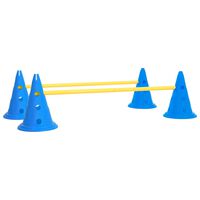 vidaXL Dog Activity Obstacle Set Blue and Yellow