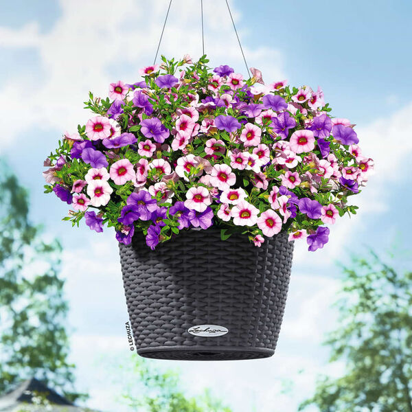 LECHUZA Hanging Planter NIDO Cottage 28 ALL-IN-ONE Granite