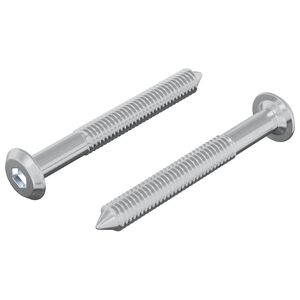 vidaXL Screw 2 pcs Silver M6 x 50 mm Steel