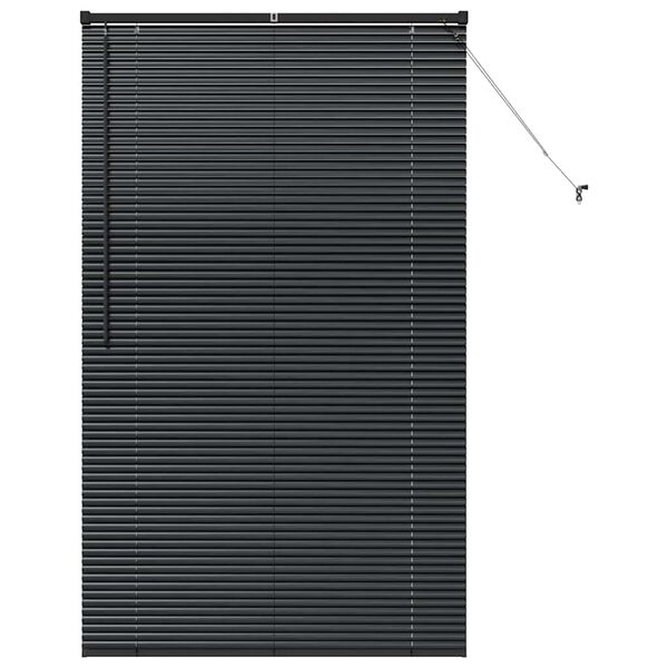 vidaXL Window Blind with Curtains Manual Black Aluminium