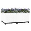 vidaXL Raised Bed 80x40x38 cm Polypropylene