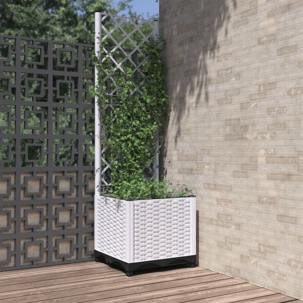 Showing Product Image 2 of 8
