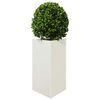 Product Thumbnail Image 8 of 11