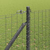 Product Thumbnail Image 4 of 17