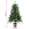 Product Thumbnail Image 12 of 12