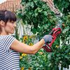 Einhell Cordless Pruning Saw GE-GS 18 Li-Solo 3408220
