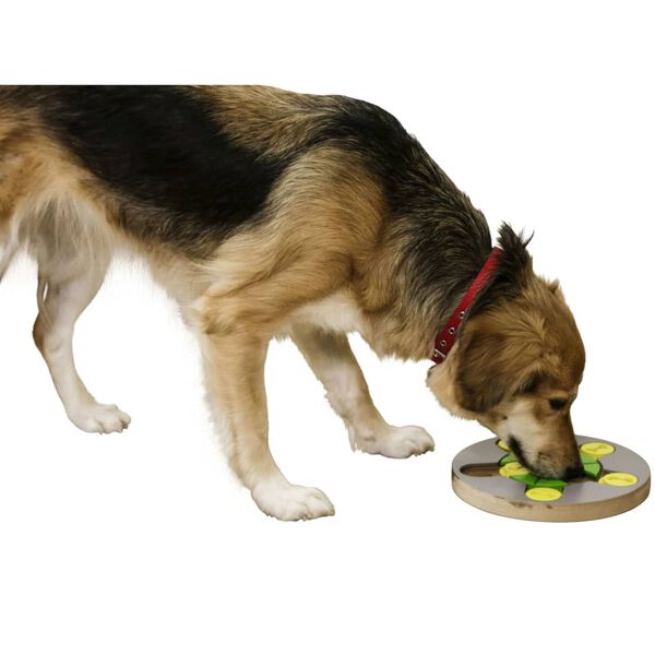 Kerbl Thinking and Learning Dog Toy Switch 25x2.5cm