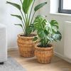 Product Thumbnail Image 2 of 9